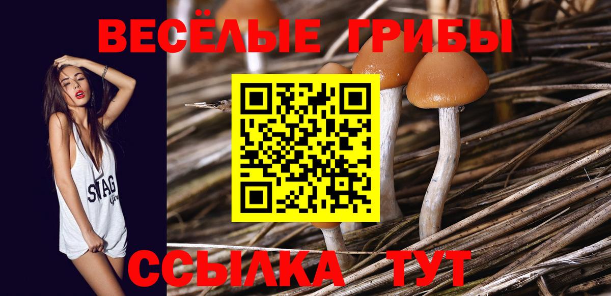 Галлюциногенные грибы мицелий Кашира
