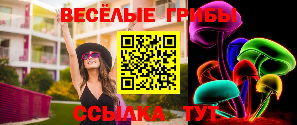 Кашира  Псилоцибиновые грибы Magic Shrooms  Вход с VPN  Псилоцибиновые грибы прущие грибы 