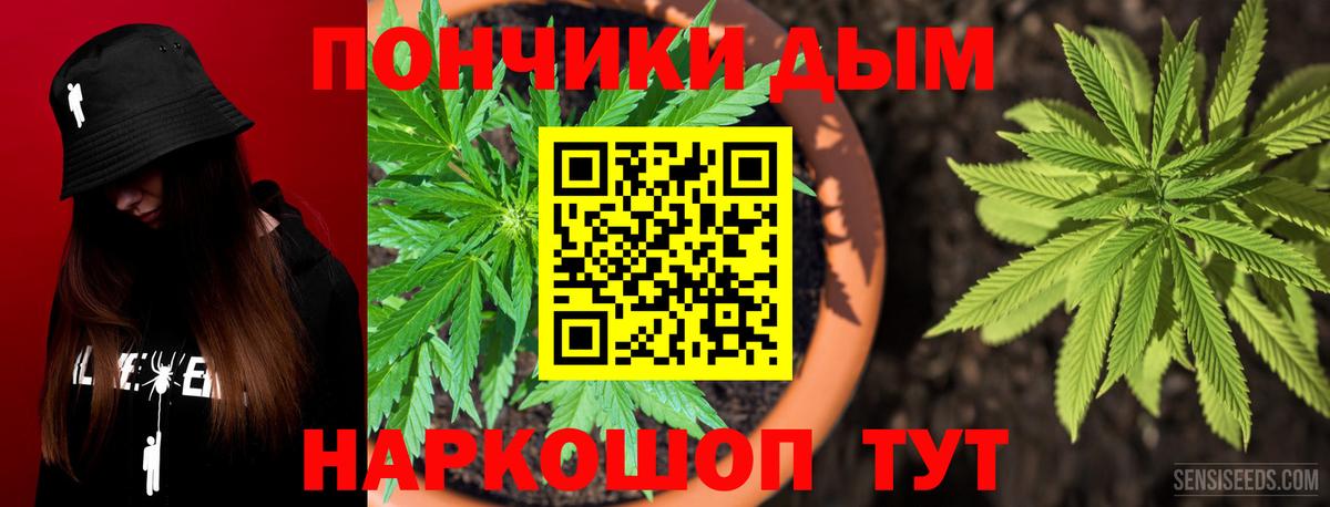 Бошки Шишки марихуана Кашира
